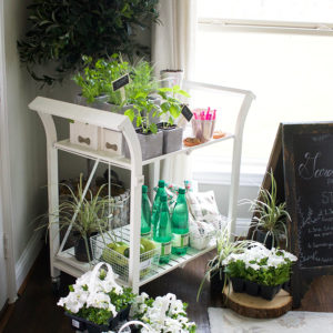 Creative Way To Throw An Indoor Garden Party