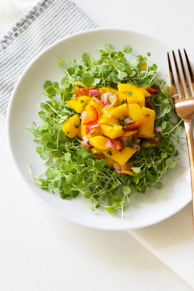 Easy Spicy Mango Salsa Recipe